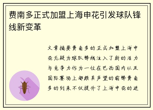 费南多正式加盟上海申花引发球队锋线新变革 费南多正式加盟上海申花引发球队锋线新变革